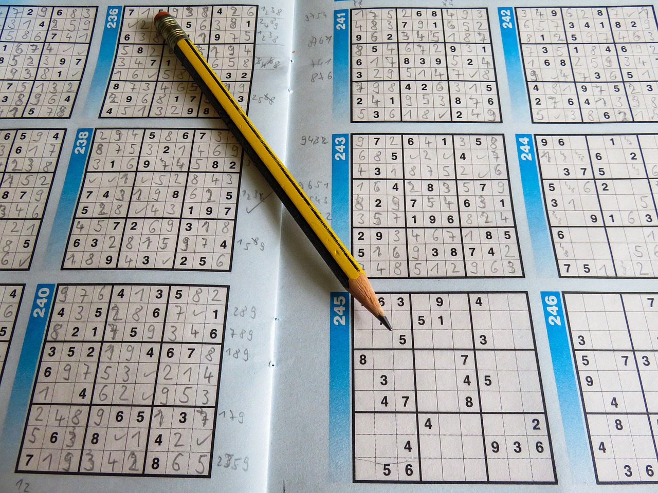 新澳资料大全正版资料2024年免费，迅捷处理问题解答_户外版24.8.41