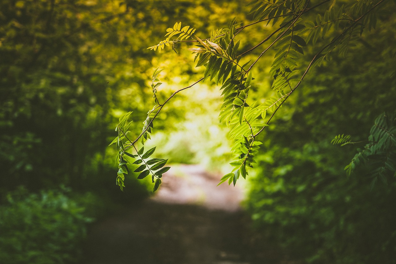 立秋，收获与再生的季节启幕