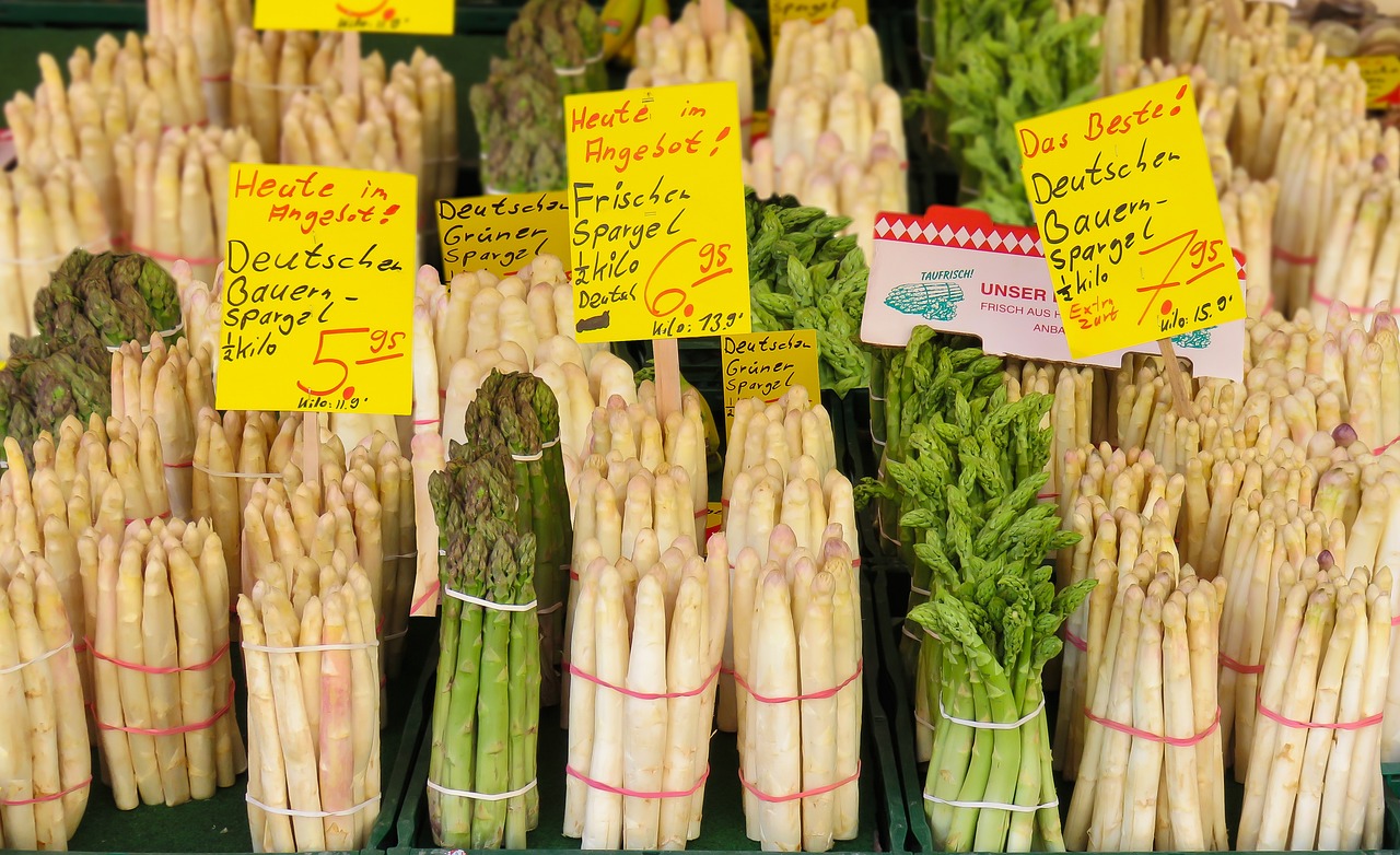 湖北钟祥房价最新动态更新，最新行情分析
