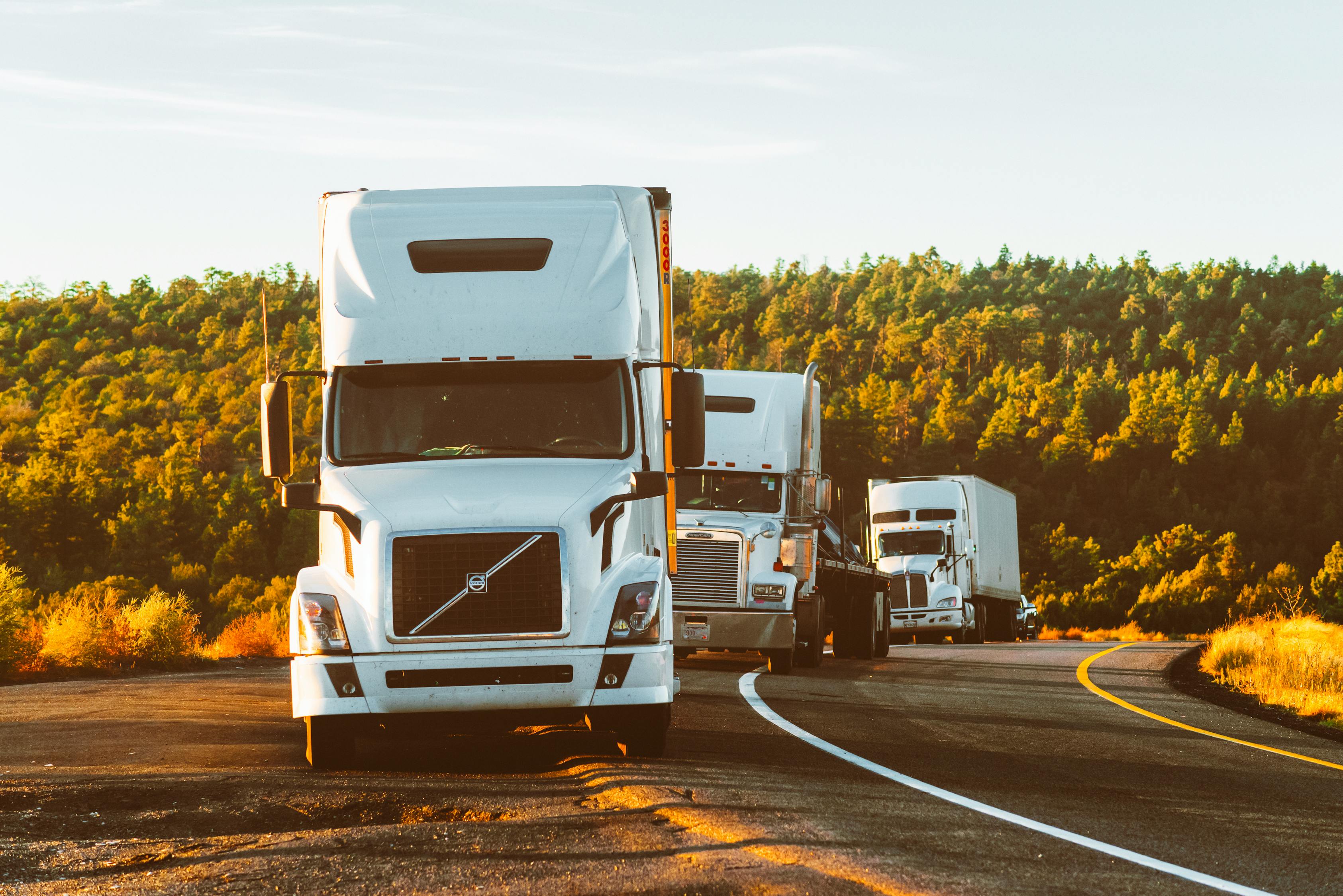 2024新澳门正版免费资本车-深入实践调查的详细说明与指导