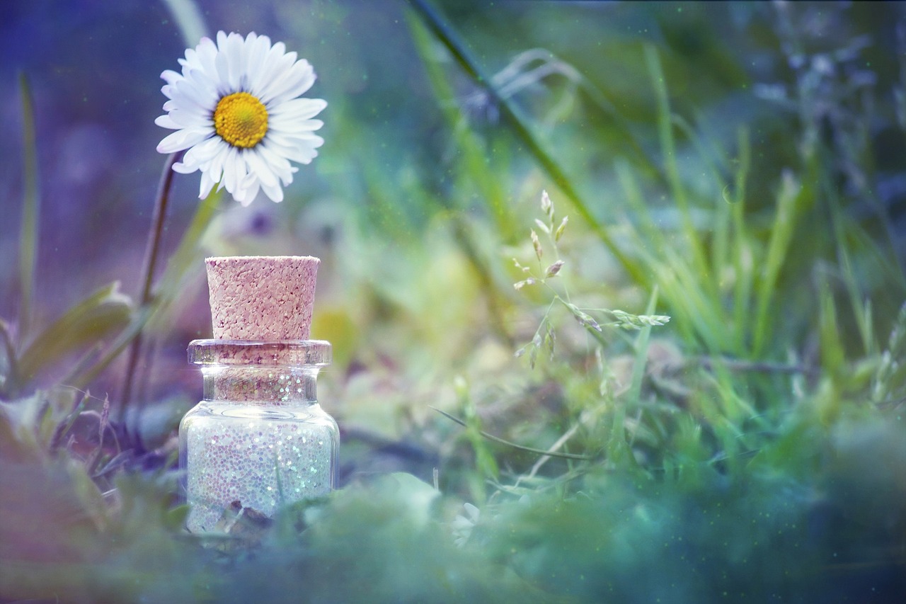 自然之美的赞歌与生活韵律，花雨春录最新章节完结