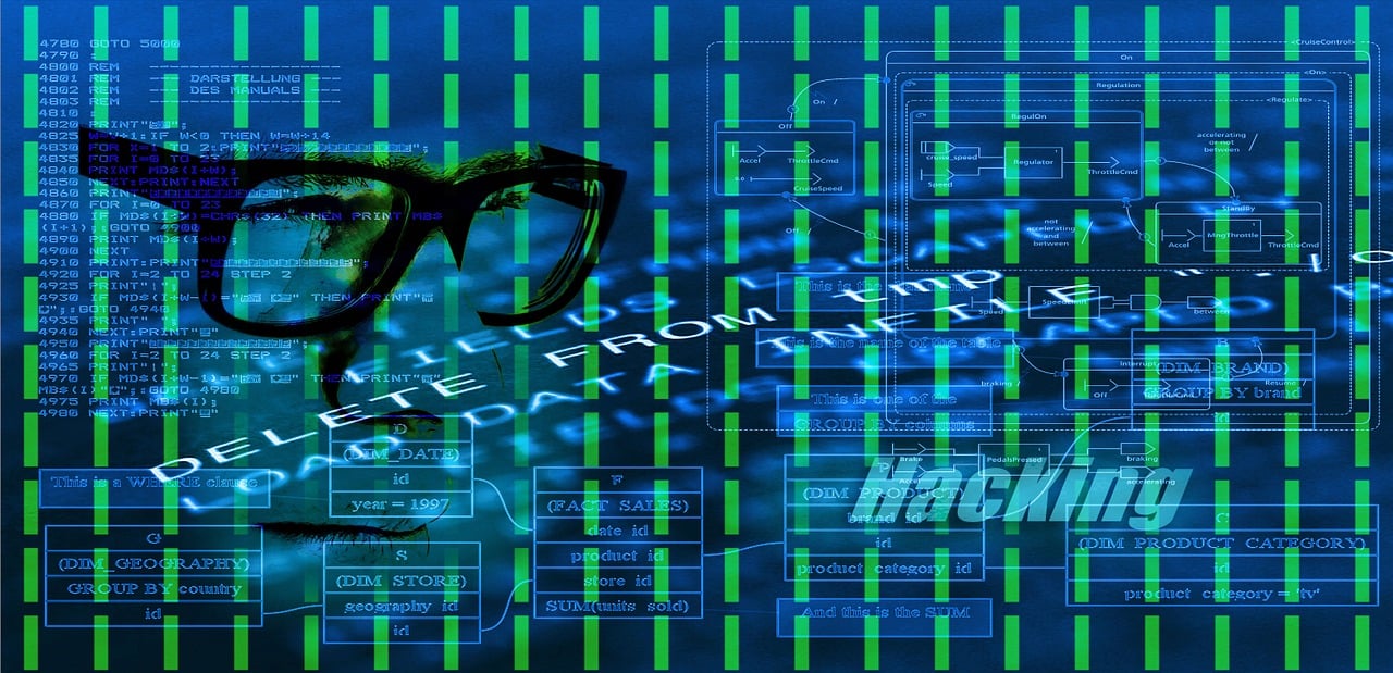 全面解析WP最新系统，功能特点及探索