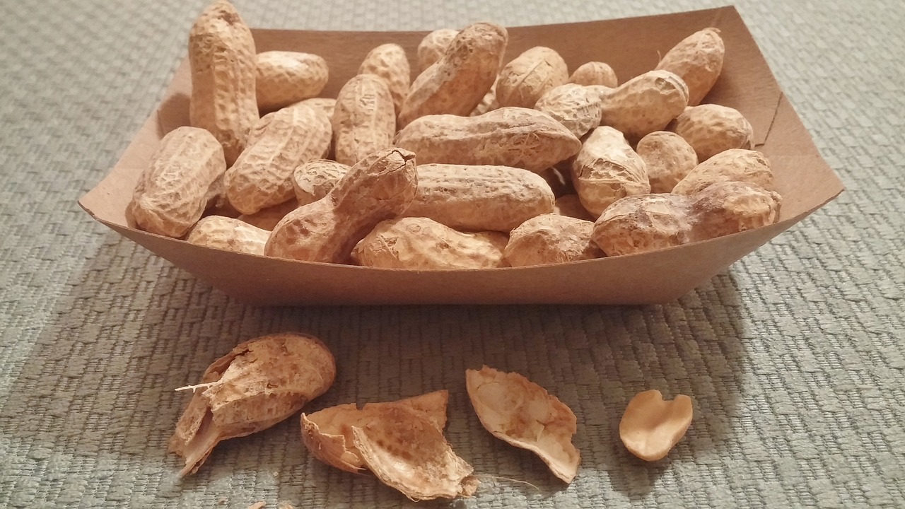 安丘土豆最新行情价格播报