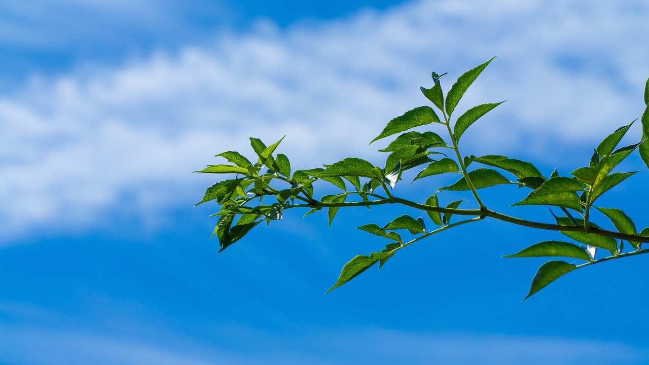 欧洲疫情最新更新，最新消息与动态