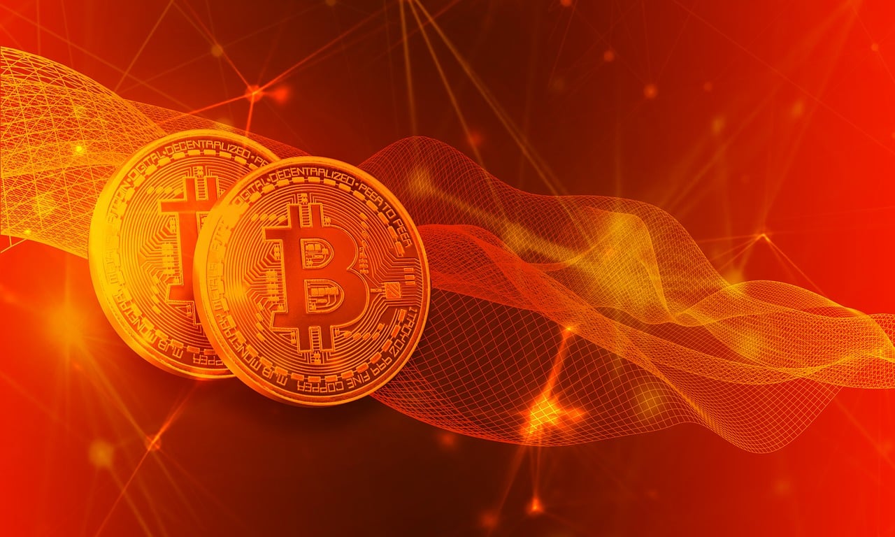 最新by网，数字时代的全新探索体验