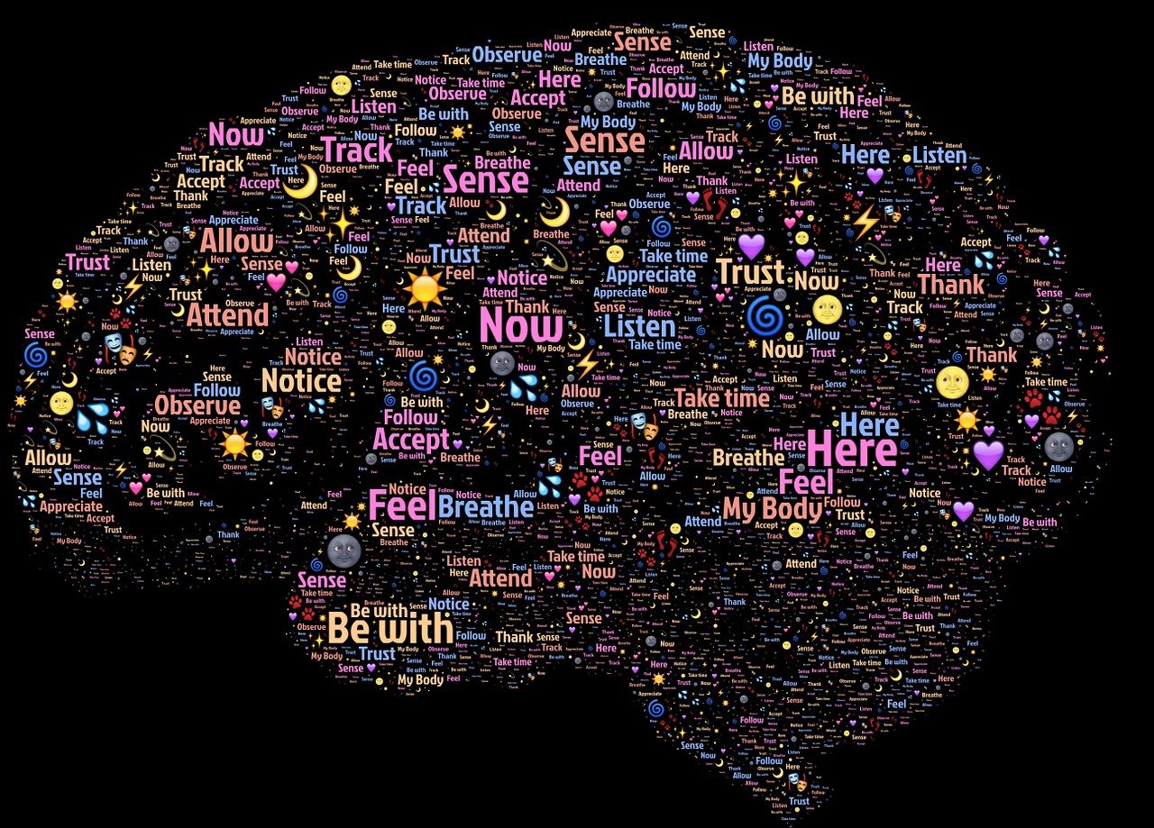 脑科学研究最新进展揭秘，探索大脑奥秘的新发现