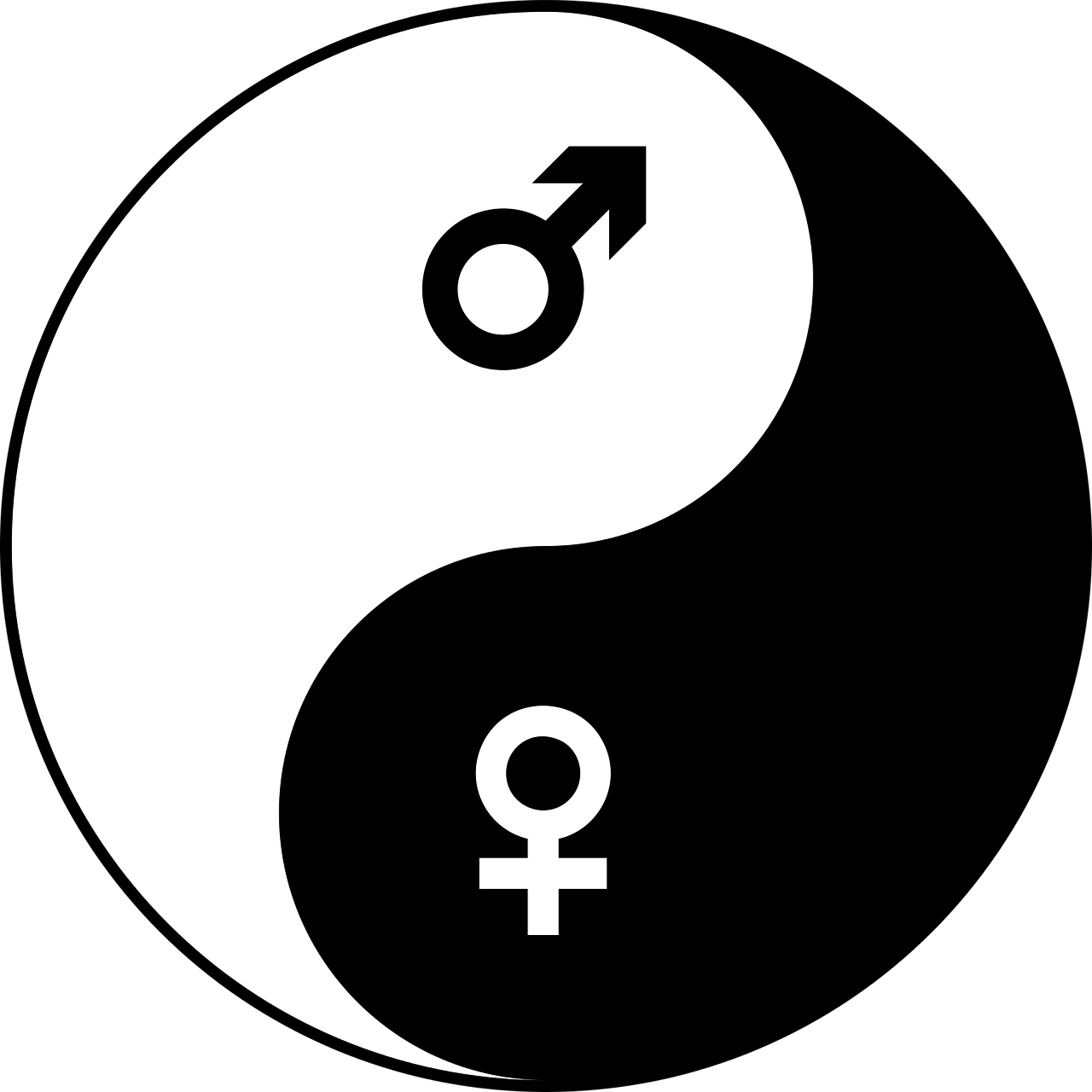 曾道道人48449.com查询，深度剖析NL73.98.71详细调查报告